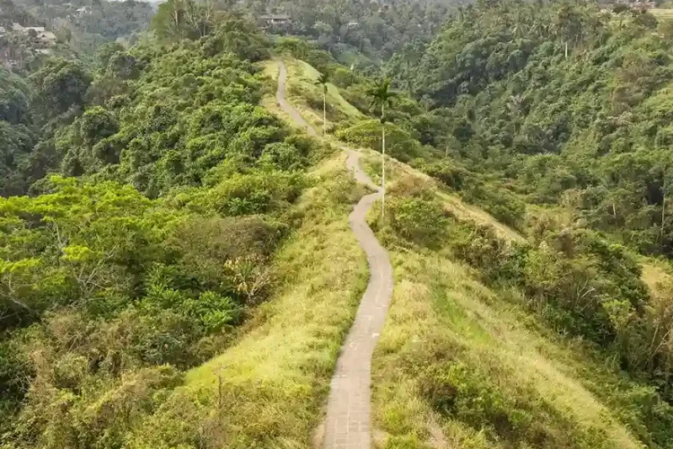 Campuhan | Ubud Tour | Bali Tours Travel