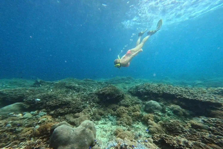 Snorkeling | Nusa Penida Tour | Bali Tours Travel